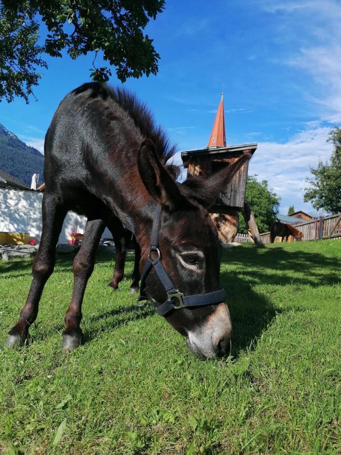 Villa Kinderbauernhof Ierzerhof Arzl im Pitztal Exterior foto