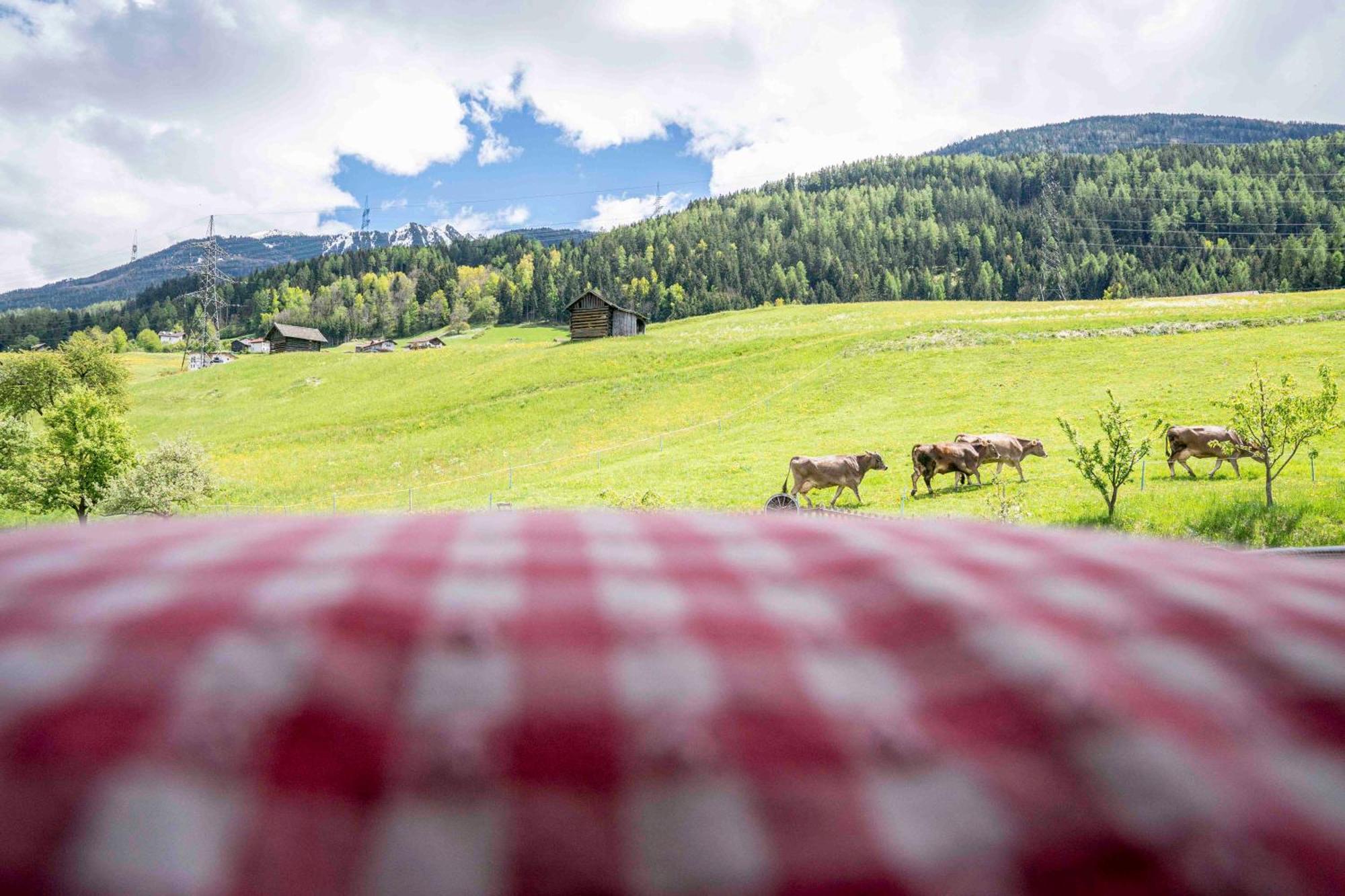 Kinderbauernhof Ierzerhof Arzl im Pitztal Exterior foto
